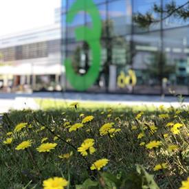 Nahaufnahme einer Löwenzahnwiese. Im Hintergrund ist der Ausschnitt eines gläsernen Gebäudes mit der großen grünen Zahl Drei darauf zu sehen.